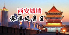 让鸡巴插到骚逼里面中国陕西-西安城墙旅游风景区